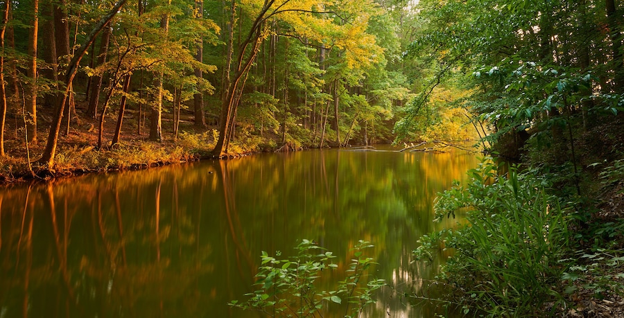 Astonishing beauty of autumn sunset with reflections in forest lake