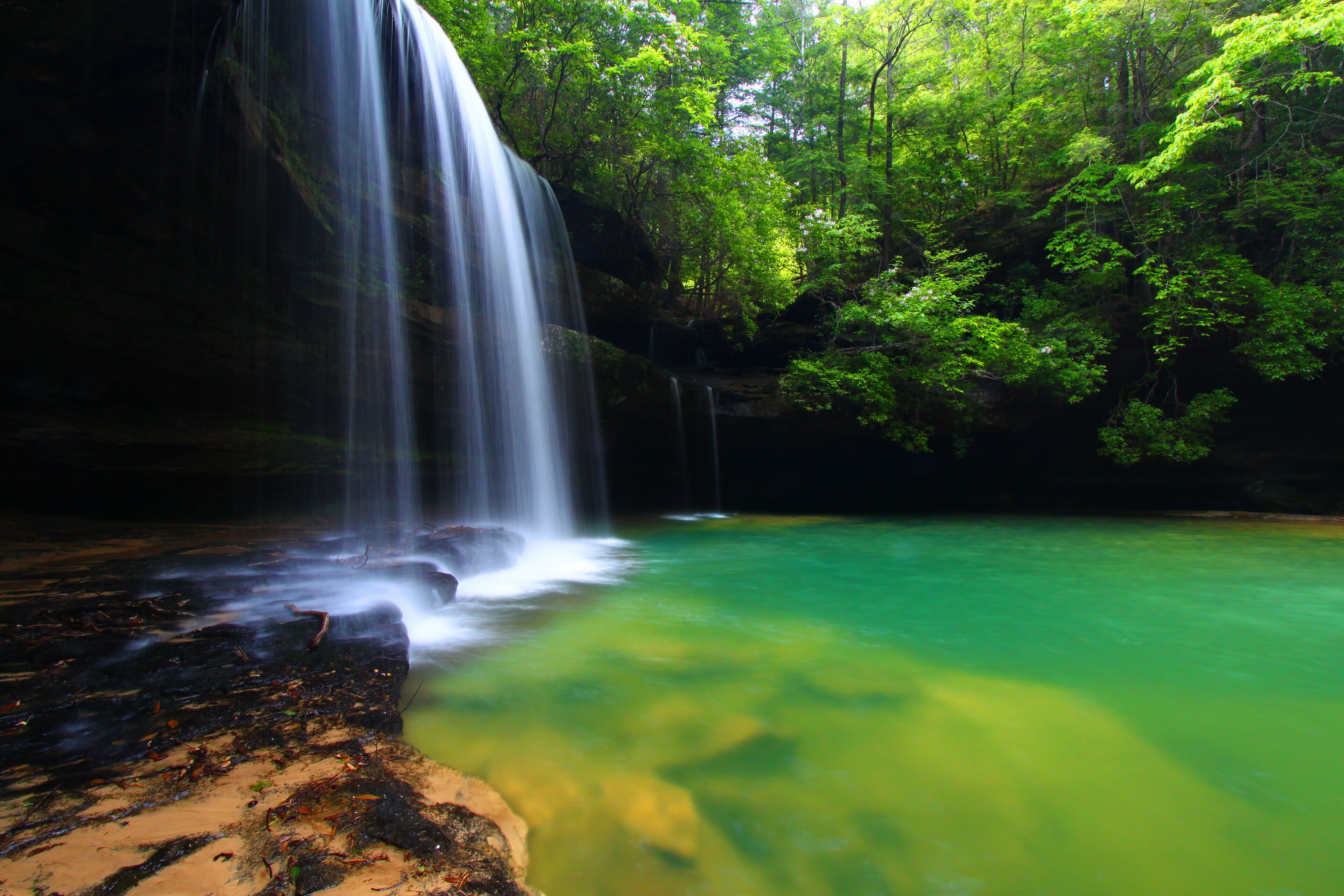 A waterfall cascading into a clear, green pool surrounded by dense forest.