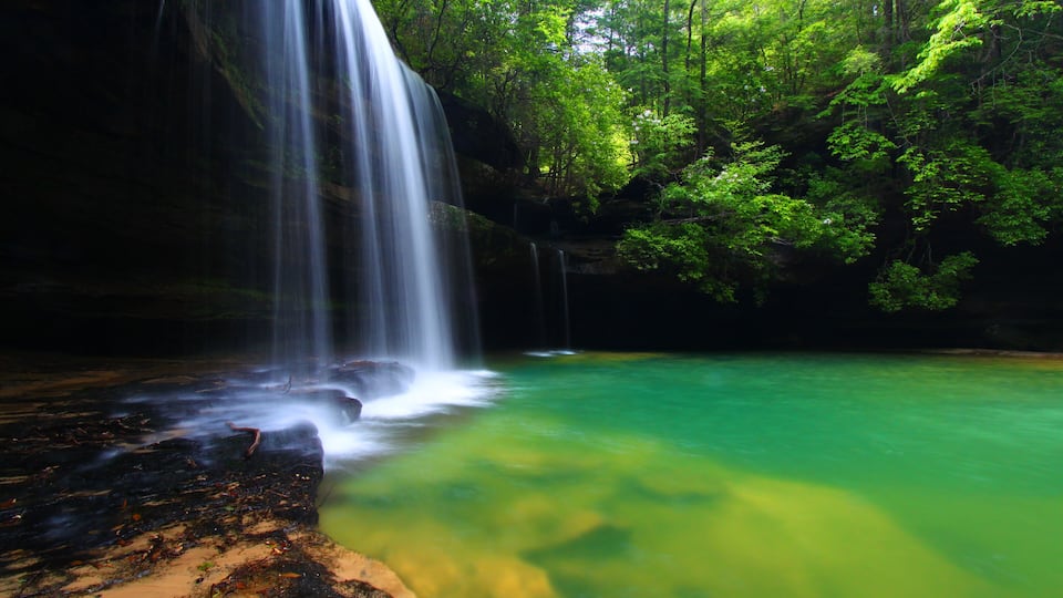 A waterfall cascading into a clear, green pool surrounded by dense forest.