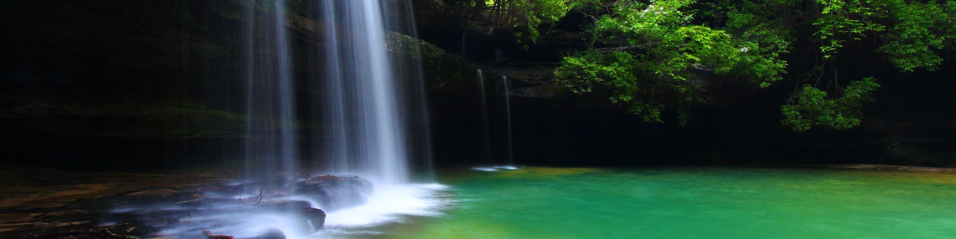 Una cascada que se precipita en una piscina clara y verde, rodeada de un bosque frondoso.