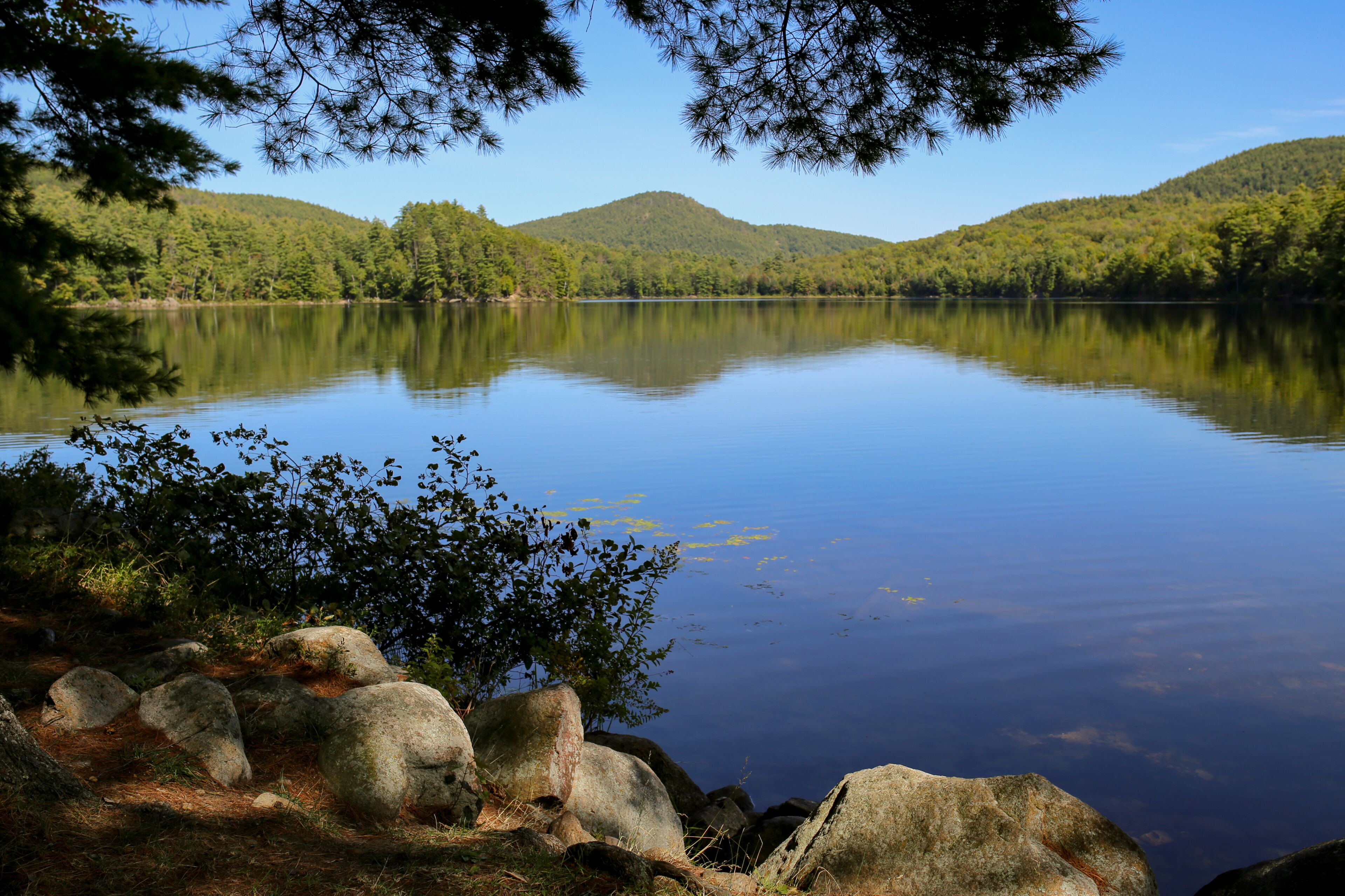 Crane Pond Adirondacks New York Blue Sky Water Reflection Landscape