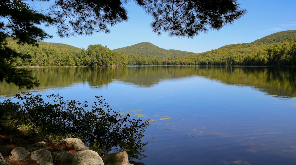Crane Pond Adirondacks New York Blue Sky Water Reflection Landscape