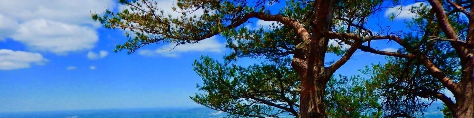 Great views! Short hike to the bluff.