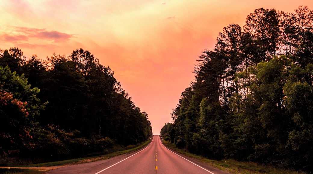 Somewhere on highway 278 on my way from Double Springs to Cullman.
I had to stop an take a picture of that gorgeous sky.
Another stunning sunset in Alabama.
#sunset
#OnTheRoad