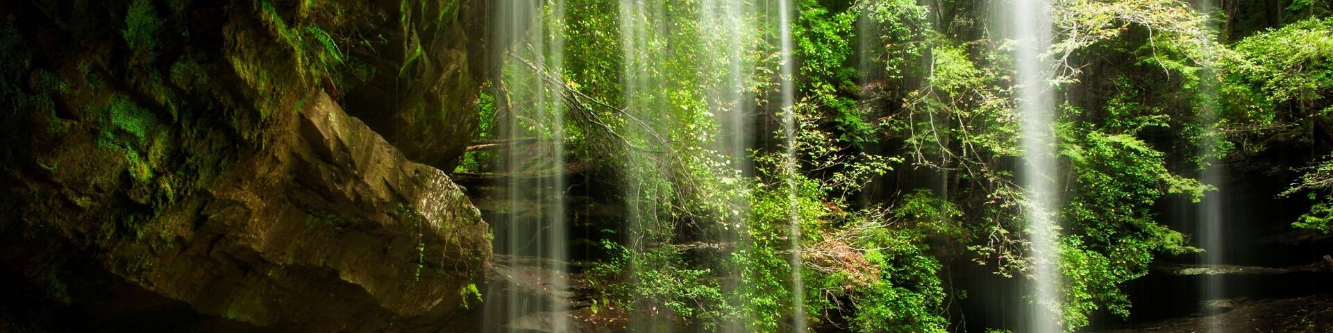 The back side of Caney Creek Falls in the Bankhead National Forest. The falls are located near Double Springs, Alabama.