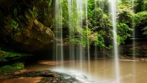 The back side of Caney Creek Falls in the Bankhead National Forest. The falls are located near Double Springs, Alabama.
