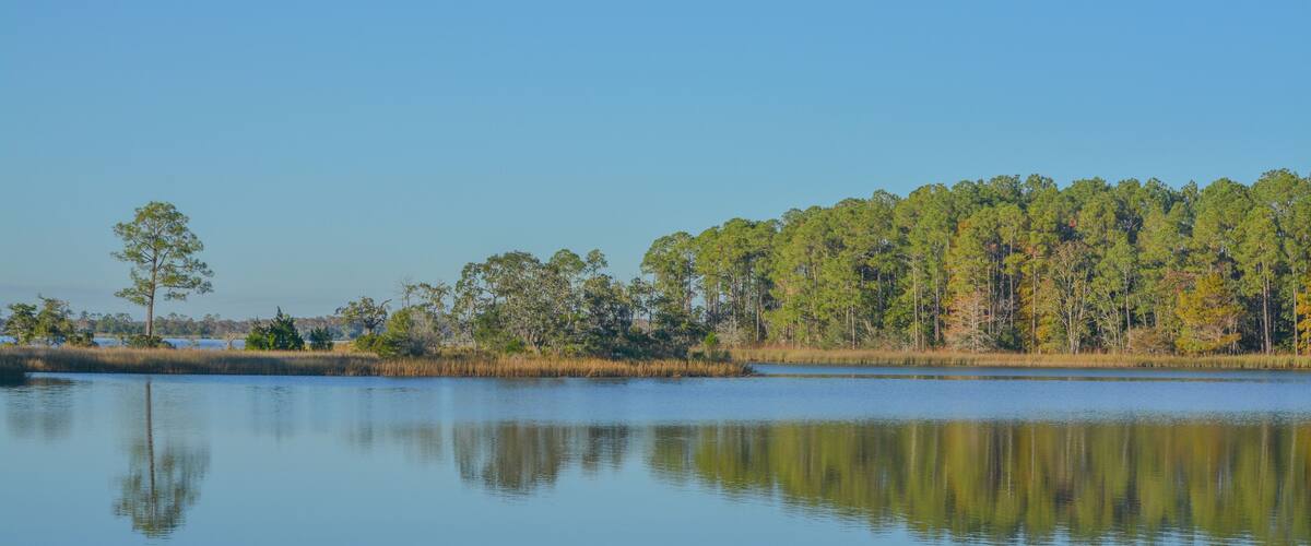 A calm lake with a forested shoreline and clear blue sky.