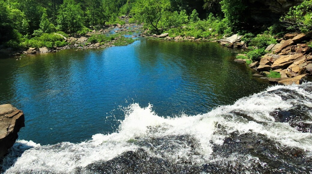 You can walk the paved path to see the falls from a distance, or you can stray off the path and see the falls from this vantage point. #hiking #waterlust
People used to be allowed to jump off the rocks around these falls, but after several deaths and emergency rescues that privilege was quickly revoked. Now there is a hefty fine for those who try.
