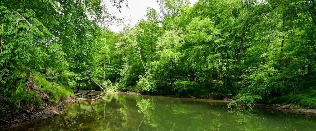 A Walk by the Cahaba River in Birmingham, Alabama