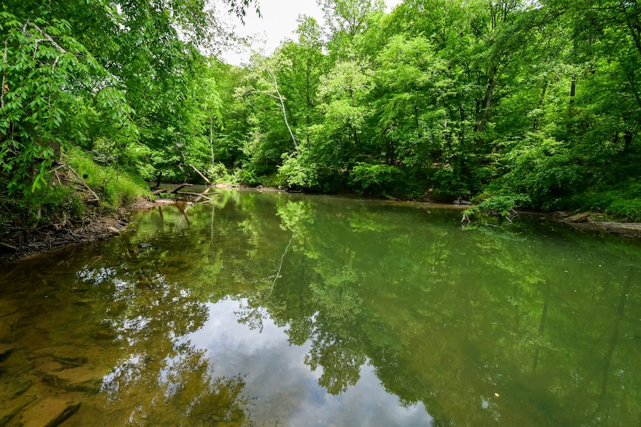A Walk by the Cahaba River in Birmingham, Alabama