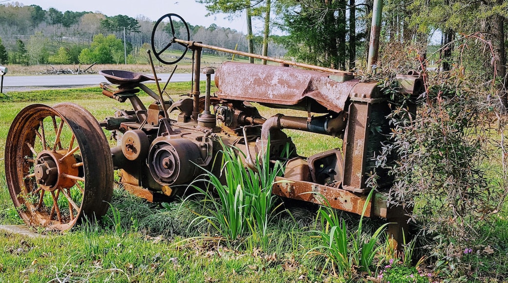 Visitor's to West Alabama, should definitely take some backroads just for fun!
I've been passing by this thing for years, telling myself that I needed to get a shot. I finally stopped last month, but I didn't like any of my shots, so yesterday I took a few more. It's a John Deere, but I don't know the model or the year. Do you?
#antique #tractor #decay #backroads #outdoors #country #Alabama
