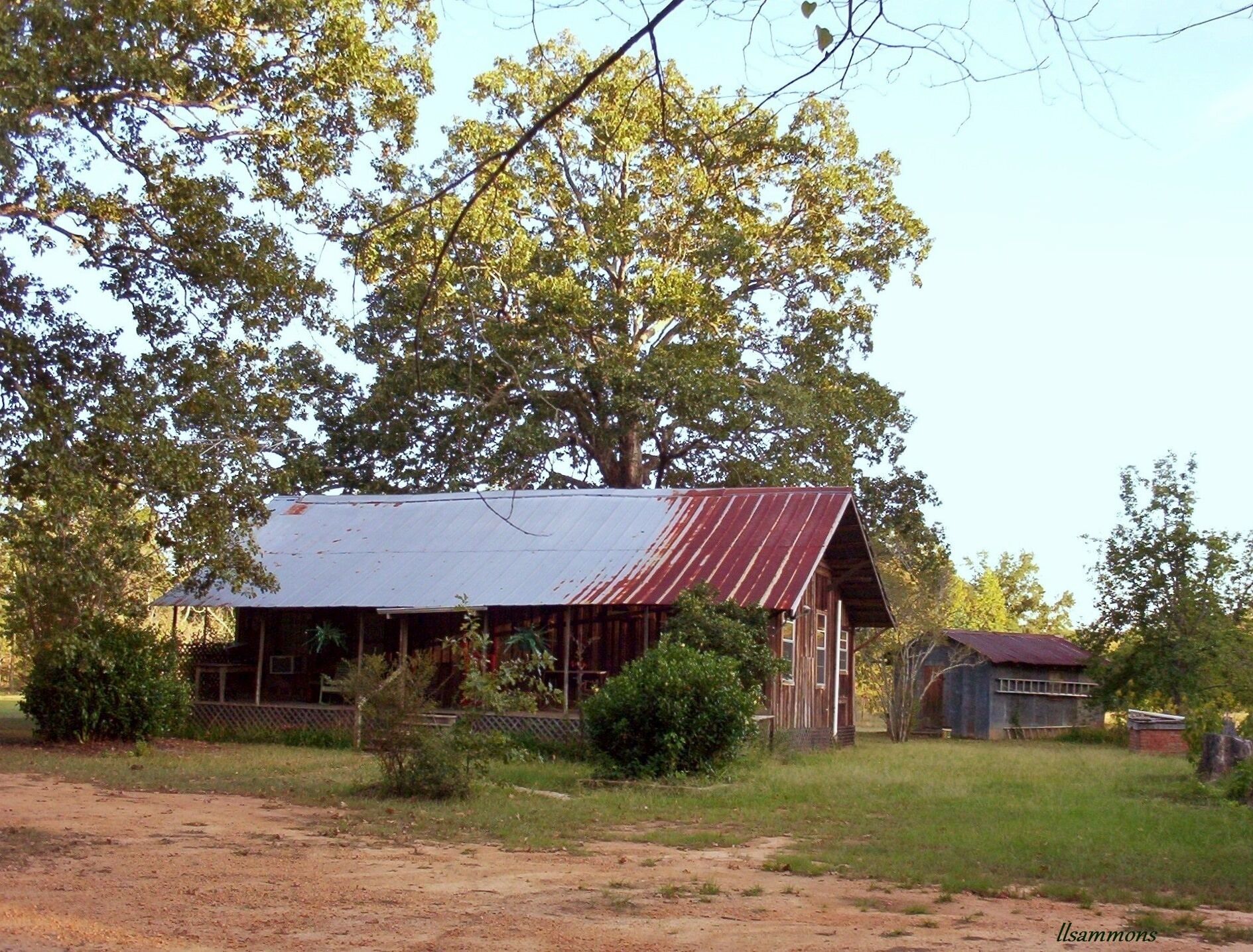 This is the house at the end of the dirt road where I live. A beautiful homeplace. The owner had livestock on the land, and only visited about one weekend a month. It was totally blown away by a tornado in 2016. #MyBackyard #farmhouse #barn #antique #oaktrees #bluesky #red #dirtroad #tin #rust