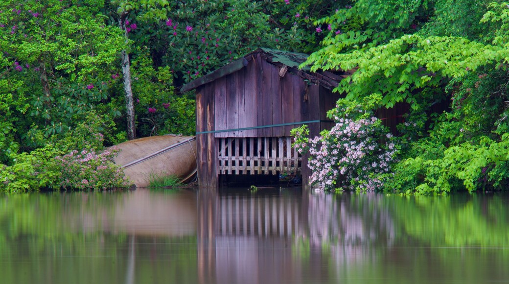 I’d really like to see this area in the fall once the leaves change.