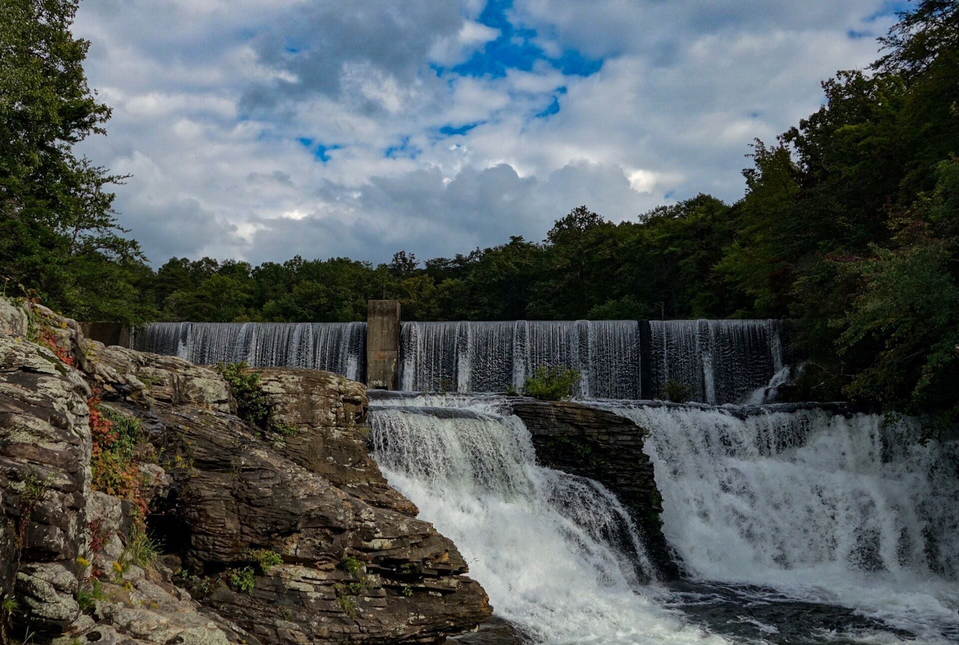 “Keep your love of nature, for that is the true way to understand art more and more."