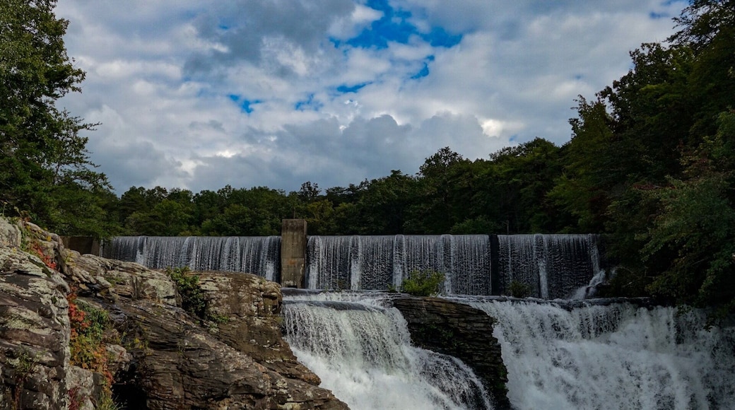 “Keep your love of nature, for that is the true way to understand art more and more."