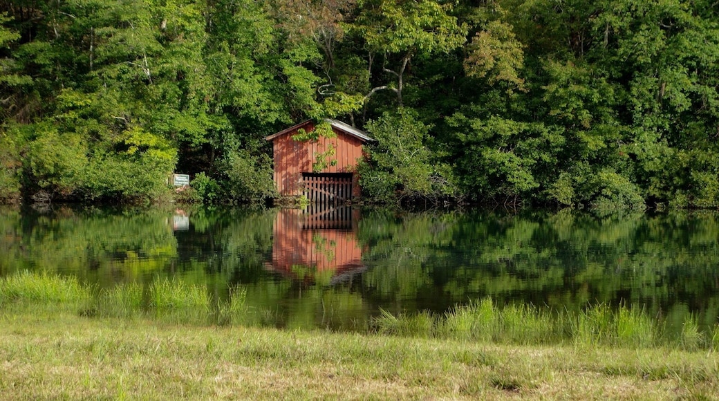 "Nature never goes out of style.”