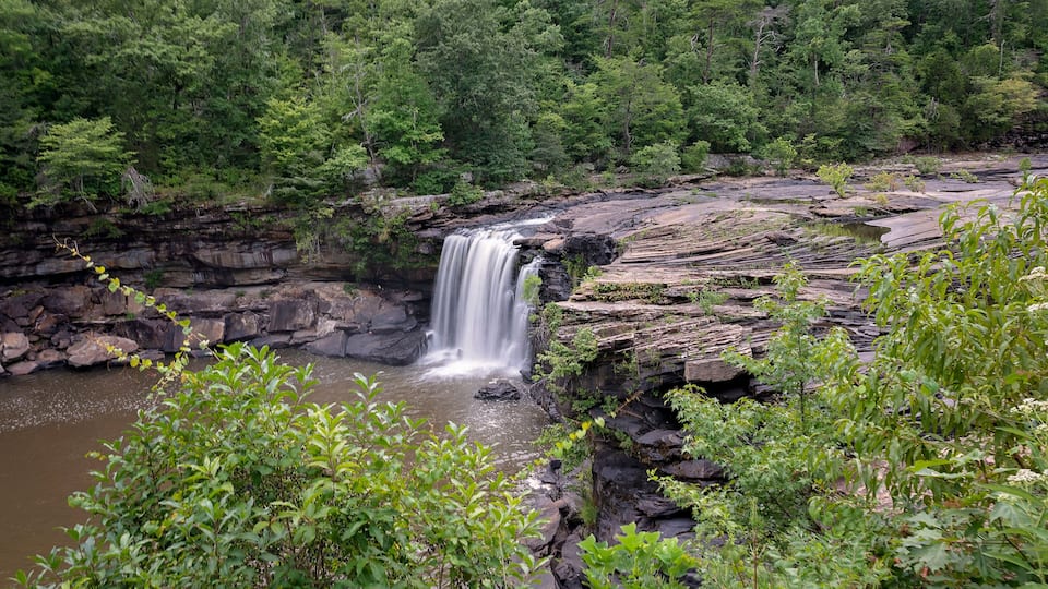 A waterfall cascading over a rocky cliff surrounded by dense forest.