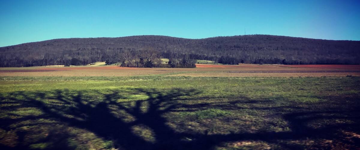 No matter which direction I’m going on this road, the views are always my fave #MoonSpotting #MaysvilleViews
#OnTheRoad
#HomeSweetHomeAlabama