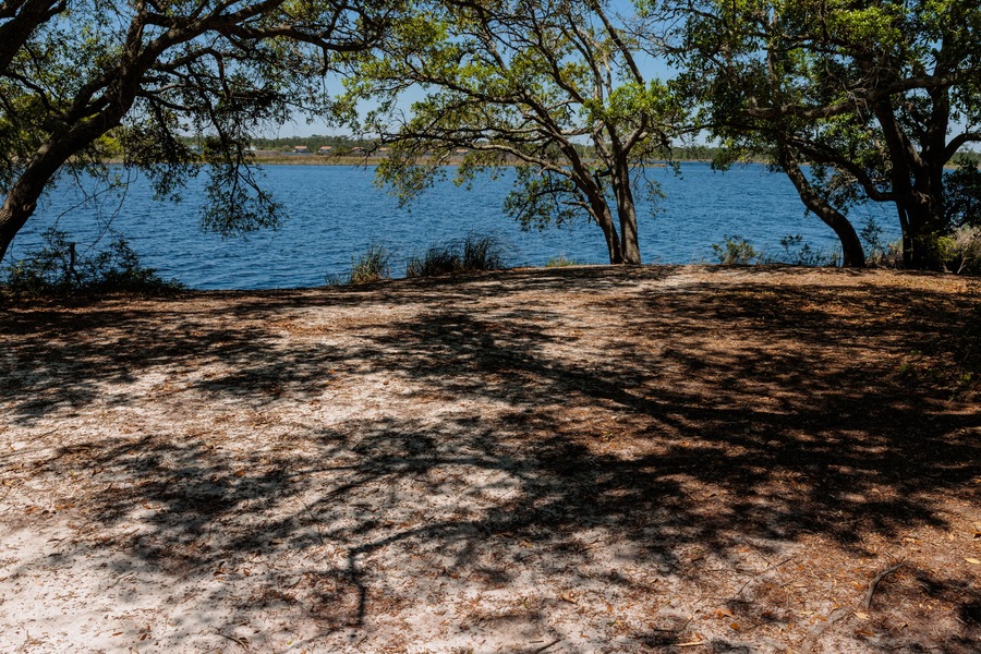 Enjoying the shade from beneath the shoreline trees of Lake Shelby within Gulf State Park, Gulf Shores, Alabama in mid-April