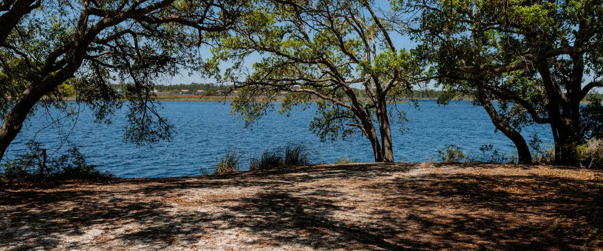 A lakeside area with trees and a dirt path.