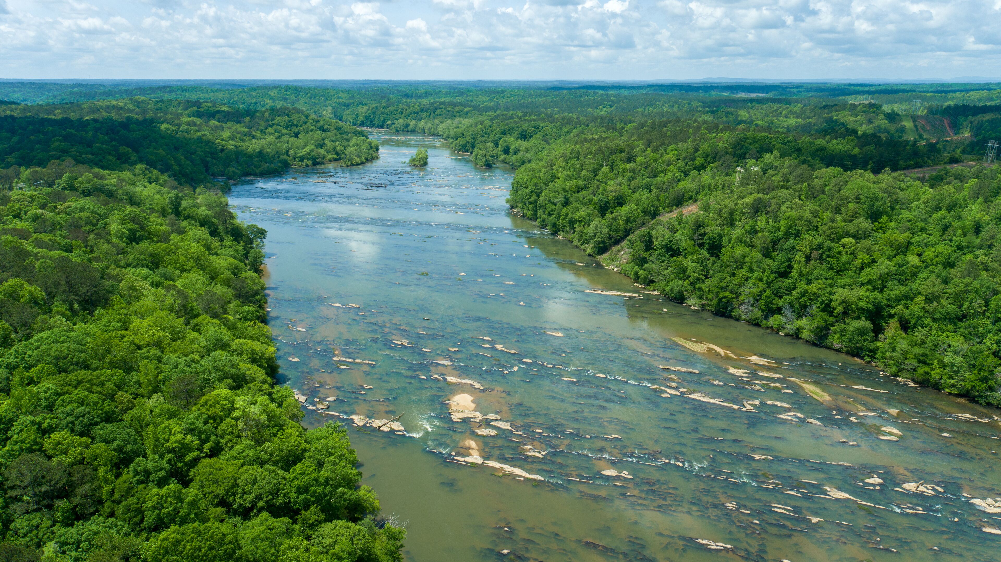 A river winding through a dense forest with clear water and visible rocks.