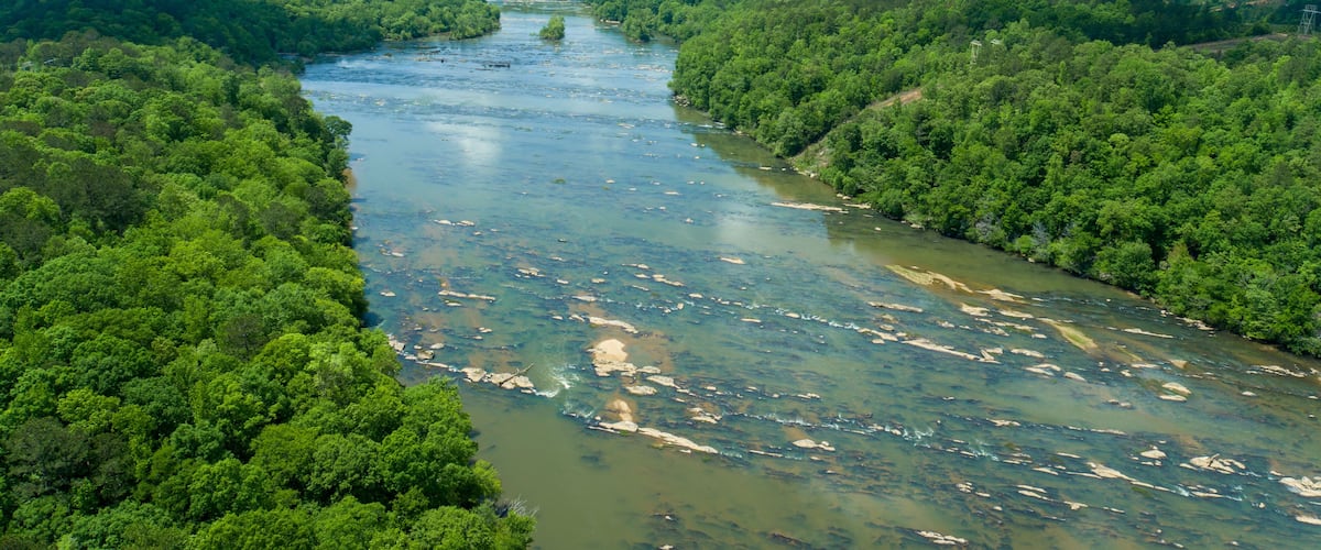 A river winding through a dense forest with clear water and visible rocks.