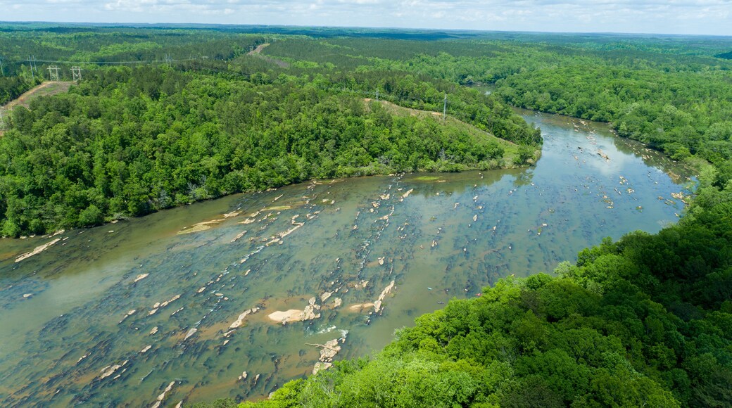 Aerial View of Rocky Riverbed and Lush Forest Irwin Shoals on Lake Martin, Alabama