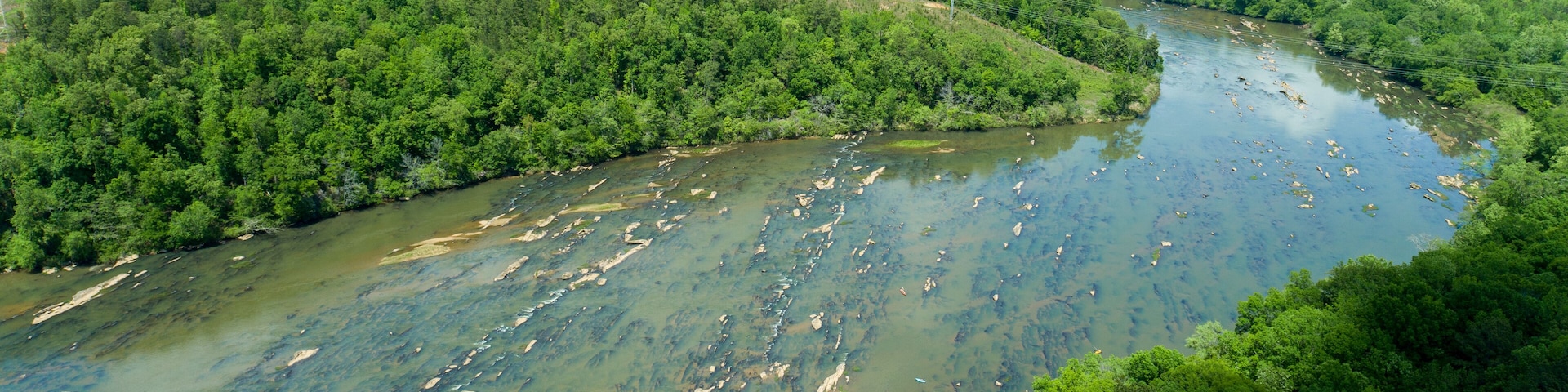 Un río serpentea a través de un bosque denso, con líneas eléctricas visibles y un cauce limpio.