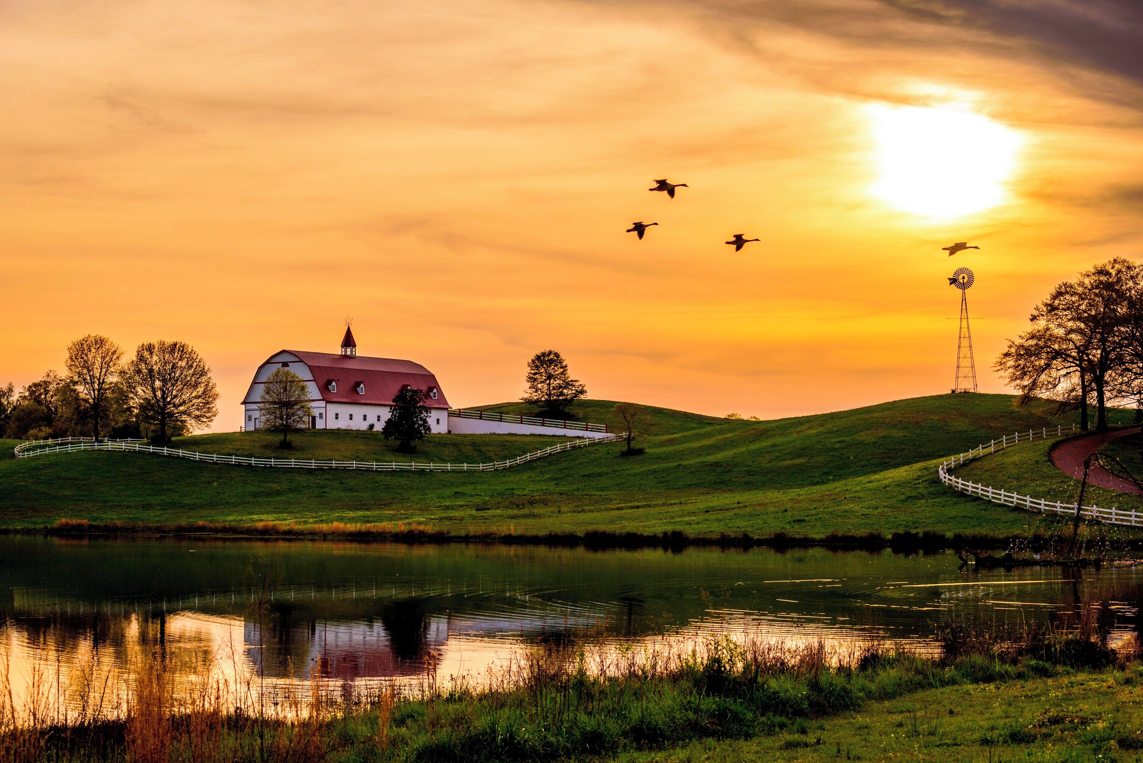 Another capture of that stunning sunset at the Hallmark Barn in Warrior, Alabama.