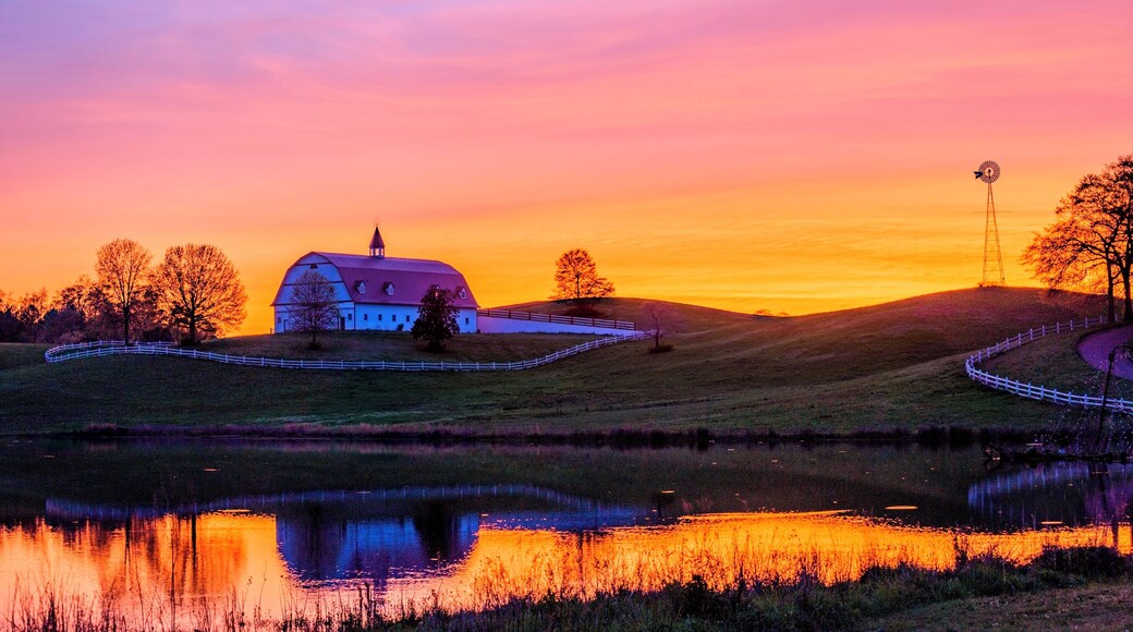 I have seen this barn a couple times from the I65 when I was driving from Birmingham to Huntsville. And I always thought that this would be a great photo motif.
Today I got there eventually to take some shots. Fortunately it was a fantastic sunset as well.
