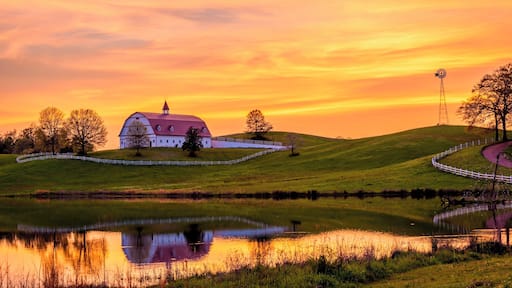 I have seen this barn a couple times from the I65 when I was driving from Birmingham to Huntsville. And I always thought that this would be a great photo motif.
Today I got there eventually to take some shots. Fortunately it was a fantastic sunset as well.