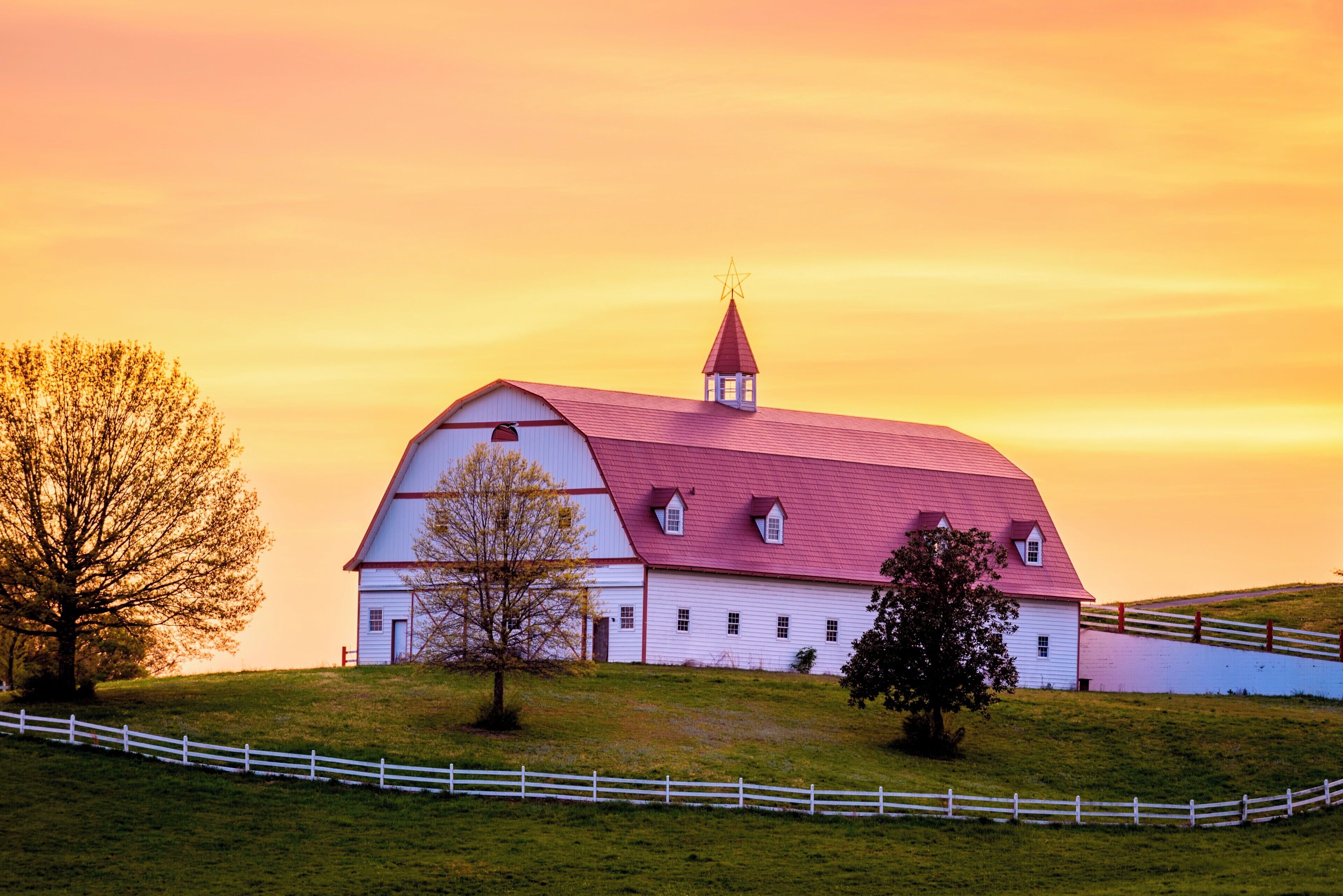 I have seen this barn a couple times from the I65 when I was driving from Birmingham to Huntsville. And I always thought that this would be a great photo motif. 
Today I got there eventually to take some shots. Fortunately it was a fantastic sunset as well.