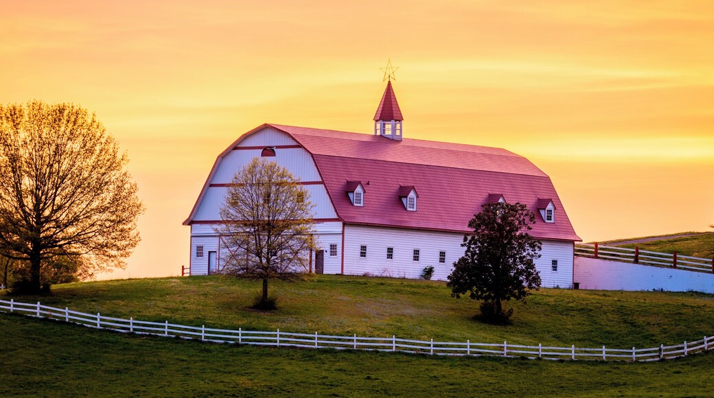 I have seen this barn a couple times from the I65 when I was driving from Birmingham to Huntsville. And I always thought that this would be a great photo motif.
Today I got there eventually to take some shots. Fortunately it was a fantastic sunset as well.