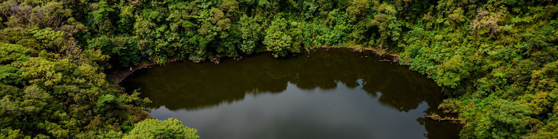 Un bosque frondoso y verde rodea un lago tranquilo con montañas al fondo.