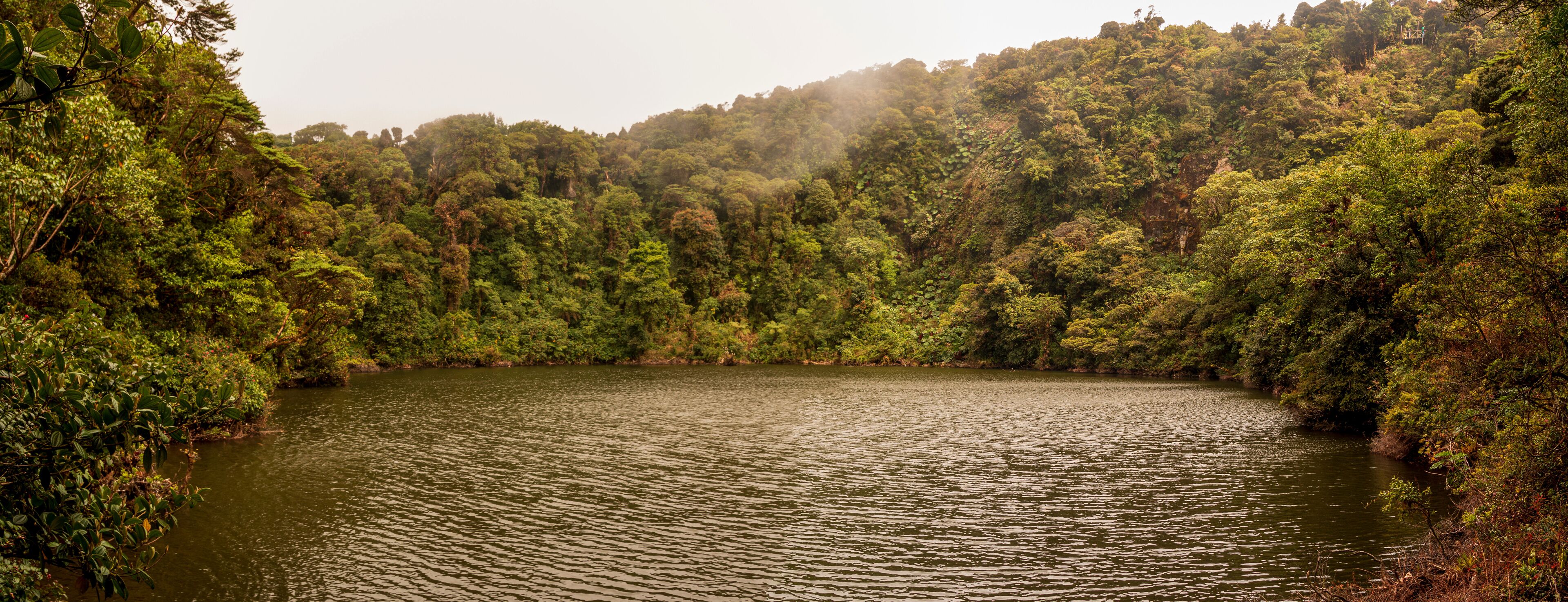 A calm lake surrounded by dense forest.