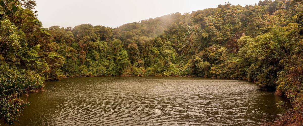 A calm lake surrounded by dense forest.