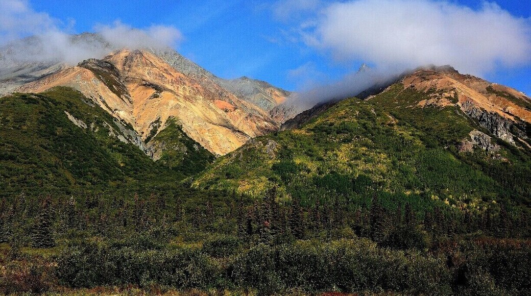 Spotted this along the Glenn Highway.