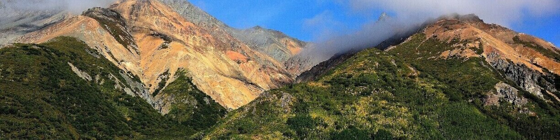 Spotted this along the Glenn Highway.