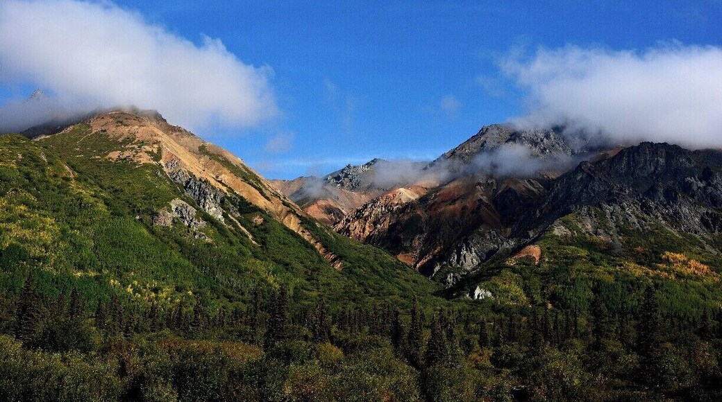 Spotted this along the Glenn Highway.
