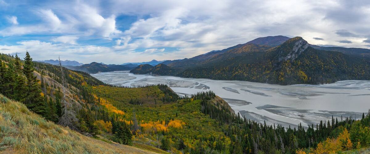 A glacier surrounded by forested mountains.