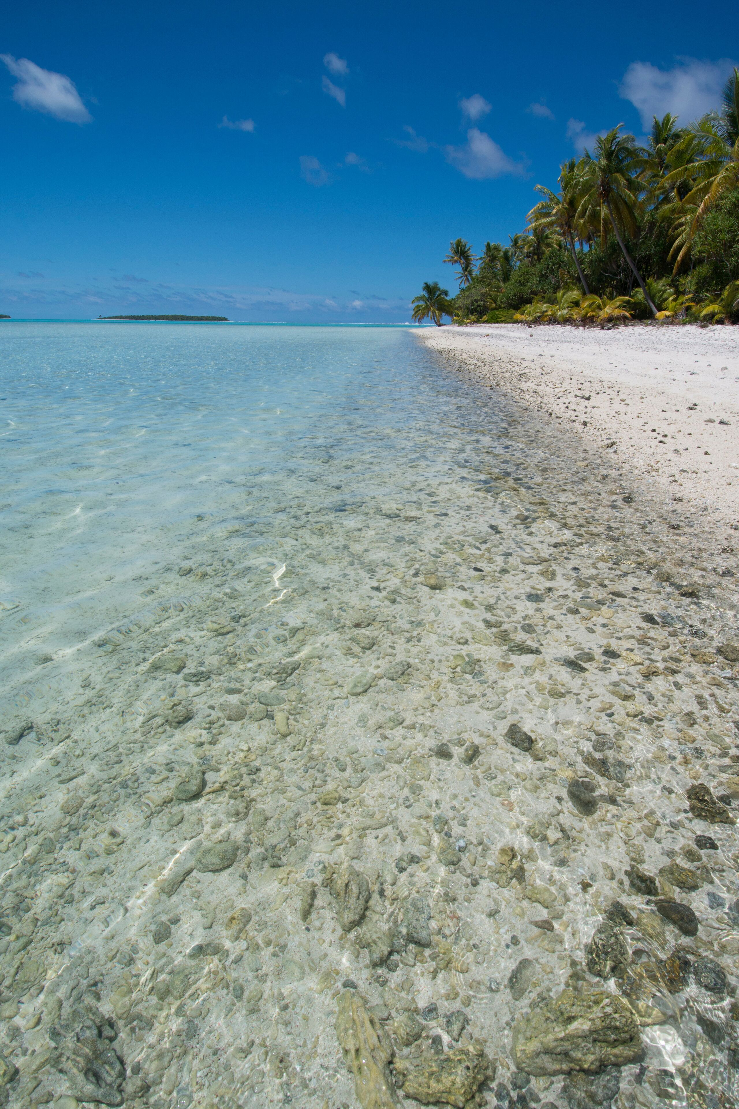 Cook Islands. Palmerston Island, a classic atoll, discovered by Captain Cook in 1774. Current population of 62 people, are all descendants of William Marsters (aka Masters).