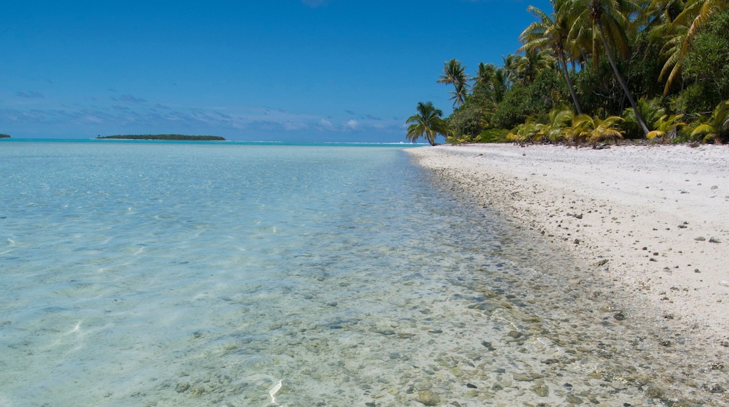 Cook Islands. Palmerston Island, a classic atoll, discovered by Captain Cook in 1774. Current population of 62 people, are all descendants of William Marsters (aka Masters).