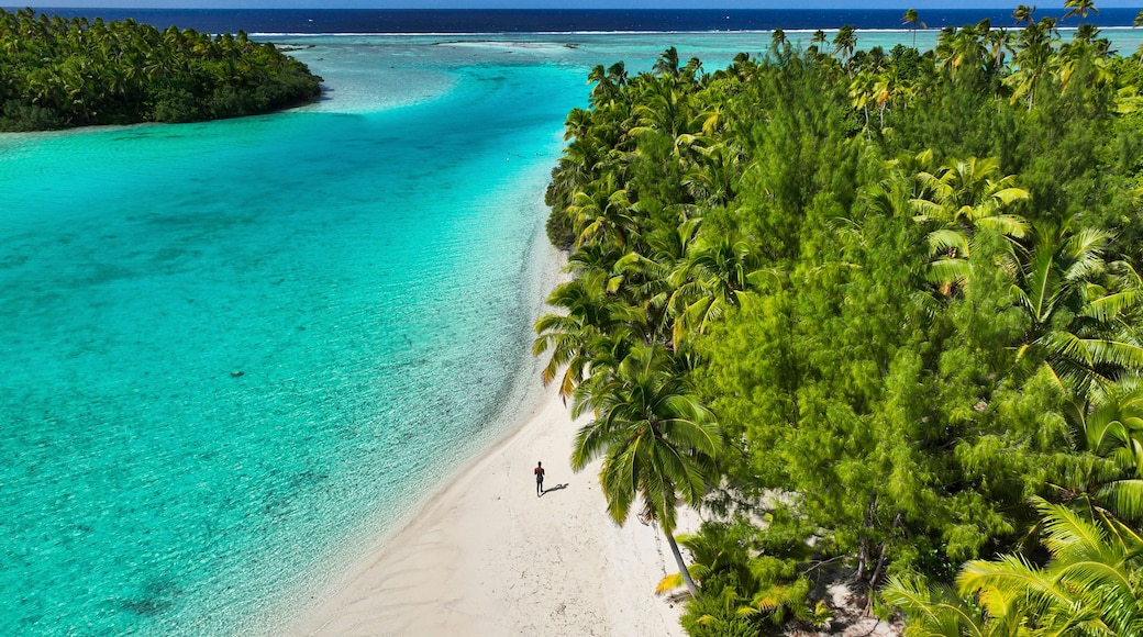Aerial view of tropical beach with turquoise water and lush trees, Palmerston Island, Cook Islands.