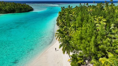 Aerial view of tropical beach with turquoise water and lush trees, Palmerston Island, Cook Islands.