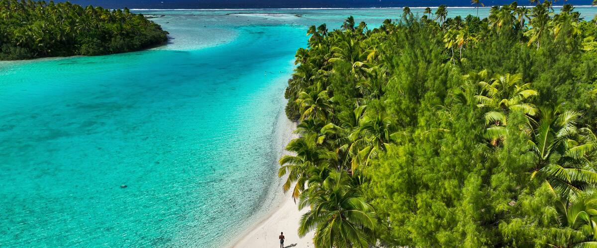 A turquoise beach with a person walking, surrounded by dense palm trees and clear blue waters.