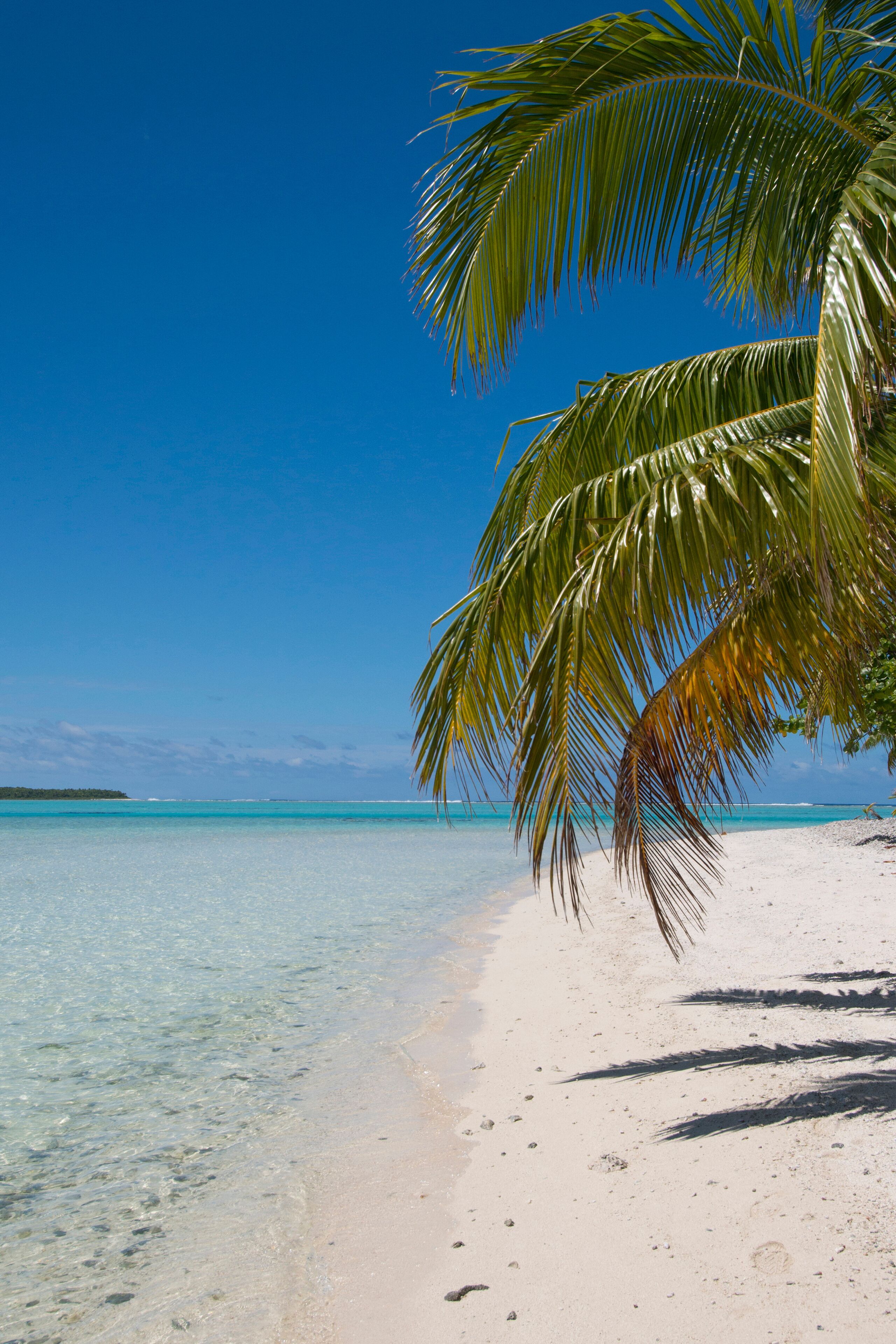 Cook Islands. Palmerston Island, a classic atoll, discovered by Captain Cook in 1774. Current population of 62 people, are all descendants of William Marsters (aka Masters).