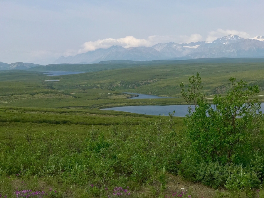 Stopping by for a great view while taking a break riding my motorcycle through Alaska  this month..