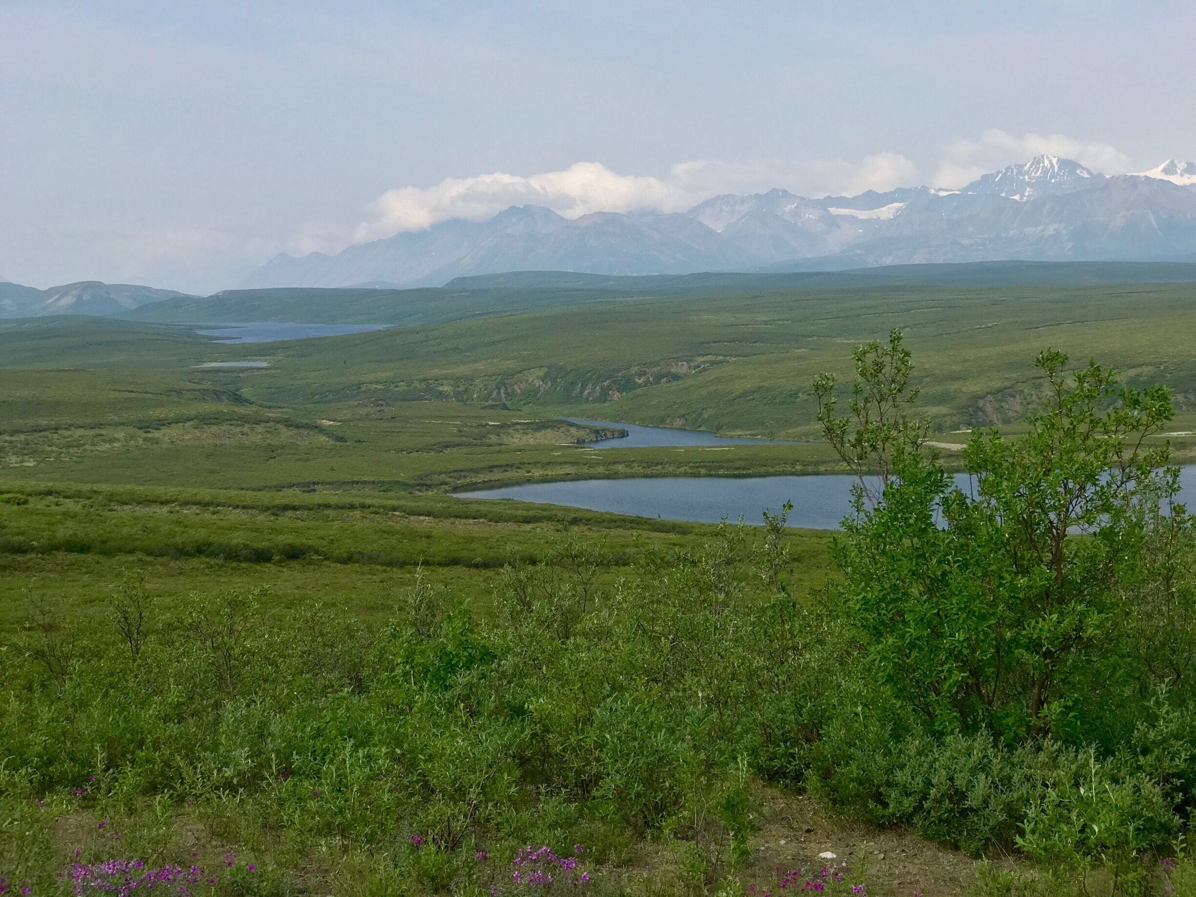 A vast green landscape with a lake and distant snow-capped mountains.