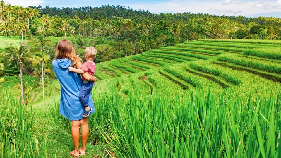 A woman holding a child in a lush green rice paddy field with terraced hills in the background.