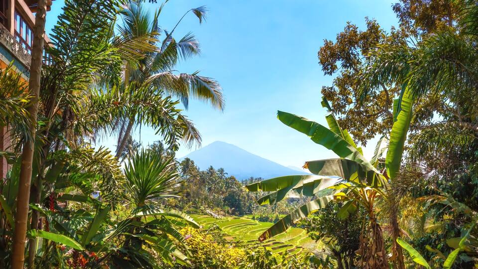 A lush landscape with a mountain in the background, surrounded by dense tropical vegetation and terraced fields.